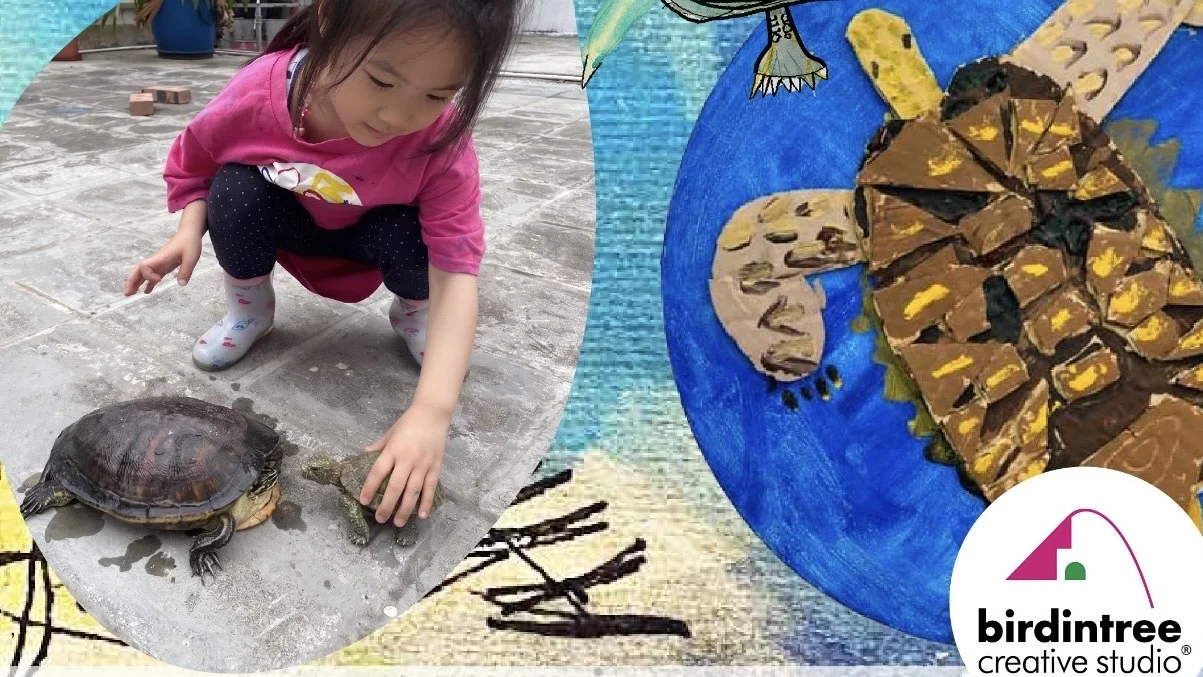 《親親澤龜》Meeting Pond Turtle Real Animal Painting