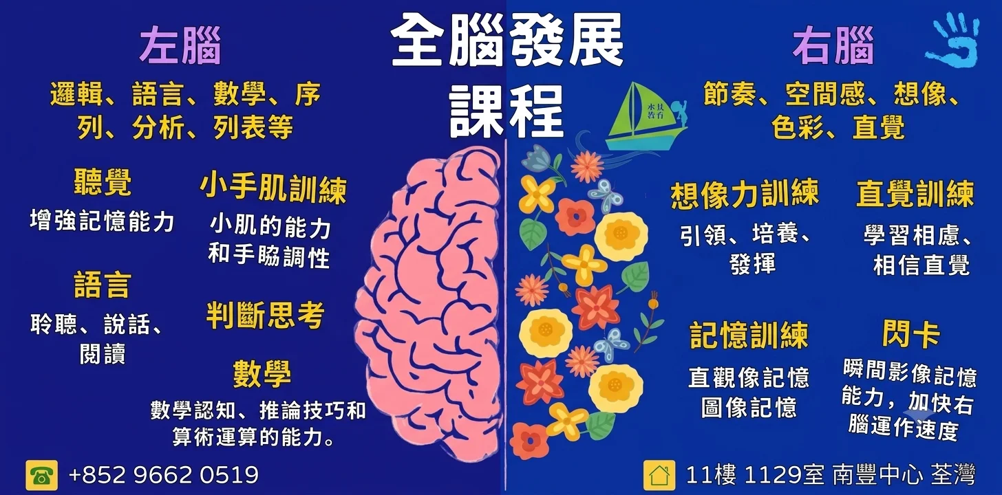 全腦發展課程
