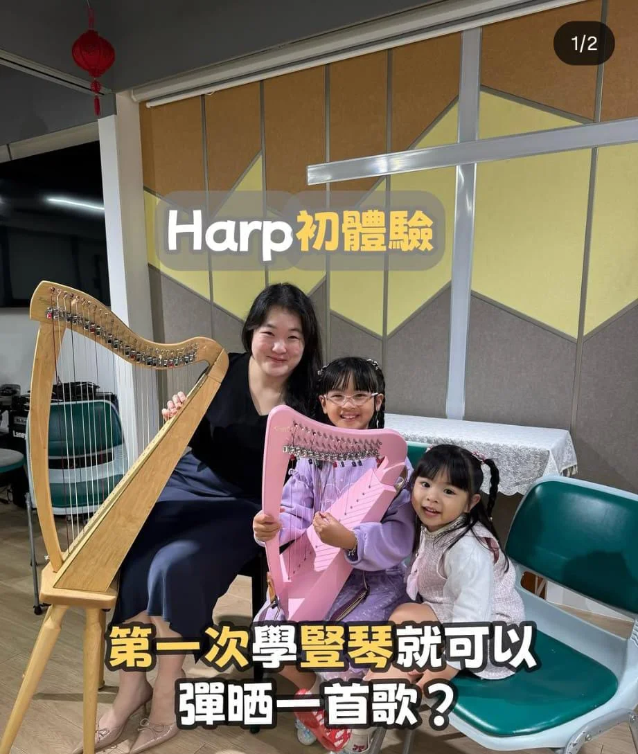 18區豎琴體驗上門體驗/多區教學點上課 豎琴課程 鋼琴課程 音樂啟蒙 到校音樂課程